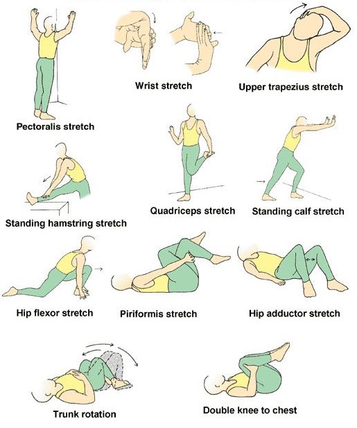 A stretch routine for a sore back