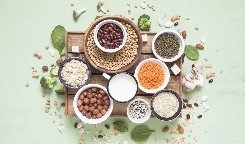 plant based protein supplements