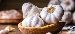 garlic- immune food